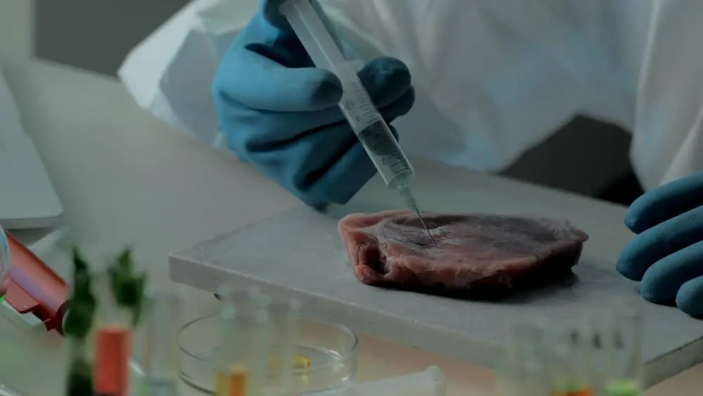 Uma pessoa de luvas azuis e jaleco branco injeta com uma seringa um bife sobre uma mesa de laboratório