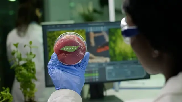 Pesquisadora com óculos de proteção e luva azul segura uma placa de Petri com carne rotulada «vegan», diante de uma tela em um laboratório