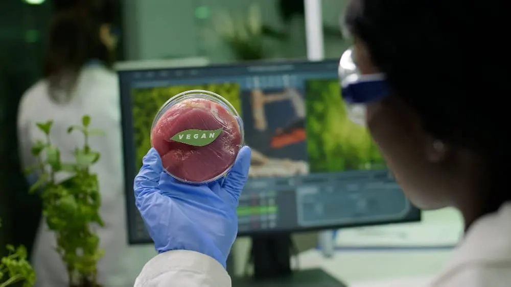 Pesquisadora com óculos de proteção e luva azul segura uma placa de Petri com carne rotulada «vegan», diante de uma tela em um laboratório