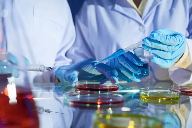 Mãos com luvas azuis e jaleco branco manipulam uma pipeta sobre placas de Petri com líquidos vermelhos e amarelos em um laboratório