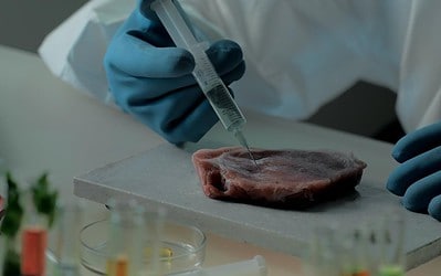 Autorização da FDA para carne sintética.