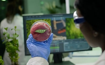 Carne sintética indistinguível da carne real, o novo pesadelo para os criadores.